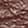 Red Oak